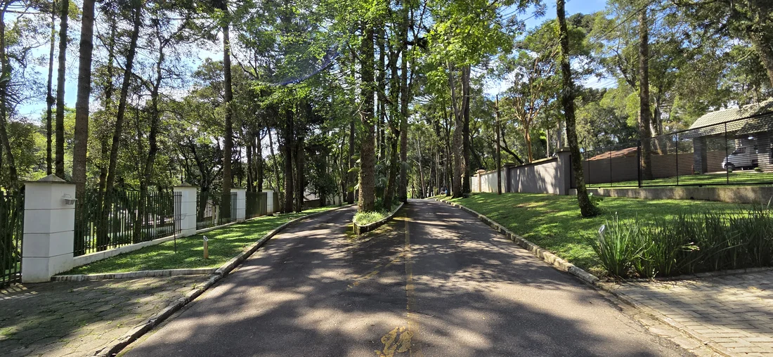 Via arborizada do condomínio — casa em Piraquara